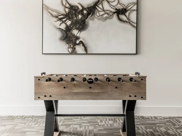 Willows at Fort Mill