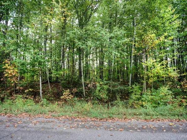 LOT 51 Thunderbird Ln, Wakefield, MI 49968
