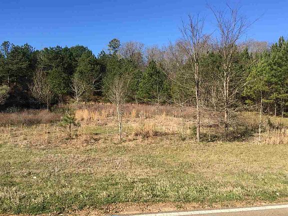 5th image of 1237 Springridge Rd