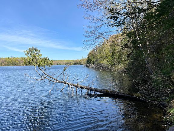 2nd image of Wayne Dr