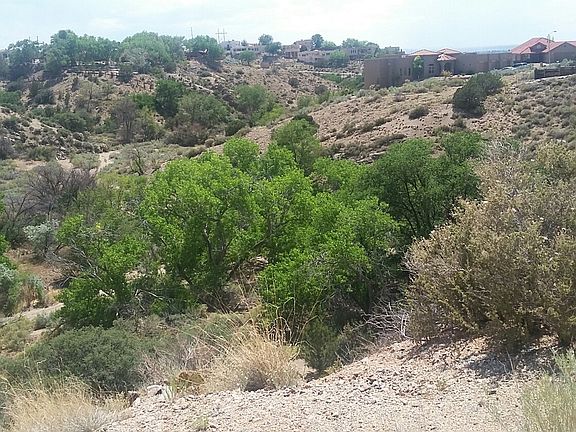 Summer view to SW