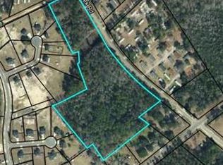 Horse Creek Rd NE, Ludowici, GA 31316