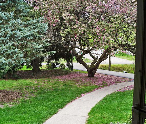 4th image of 1604 River Terrace Dr