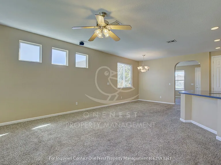 418 Dumont Ct — Photo 10