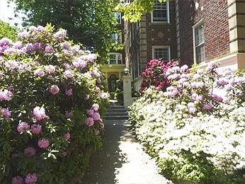 32 Shepard St Photo 1