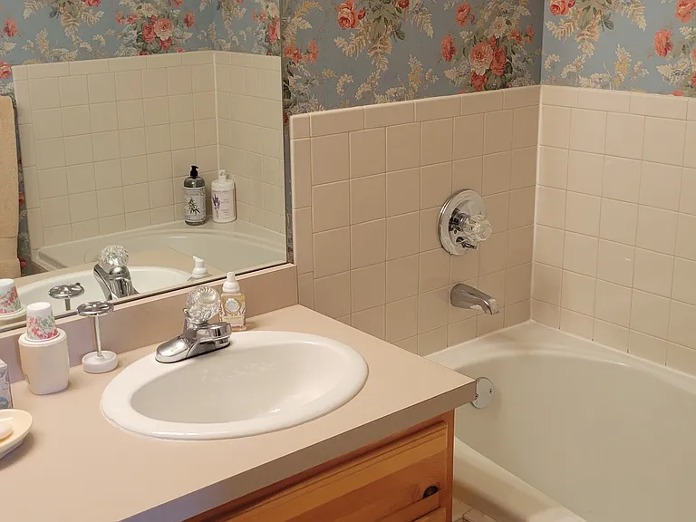 Lower suite bath