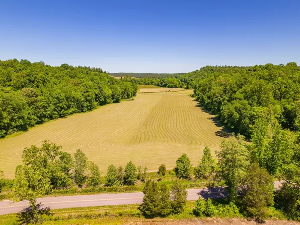2119 Bunches Chapel Rd, Parsons, TN 38363