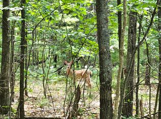 Needles & Pipeline Rds, Indian River, MI 49749