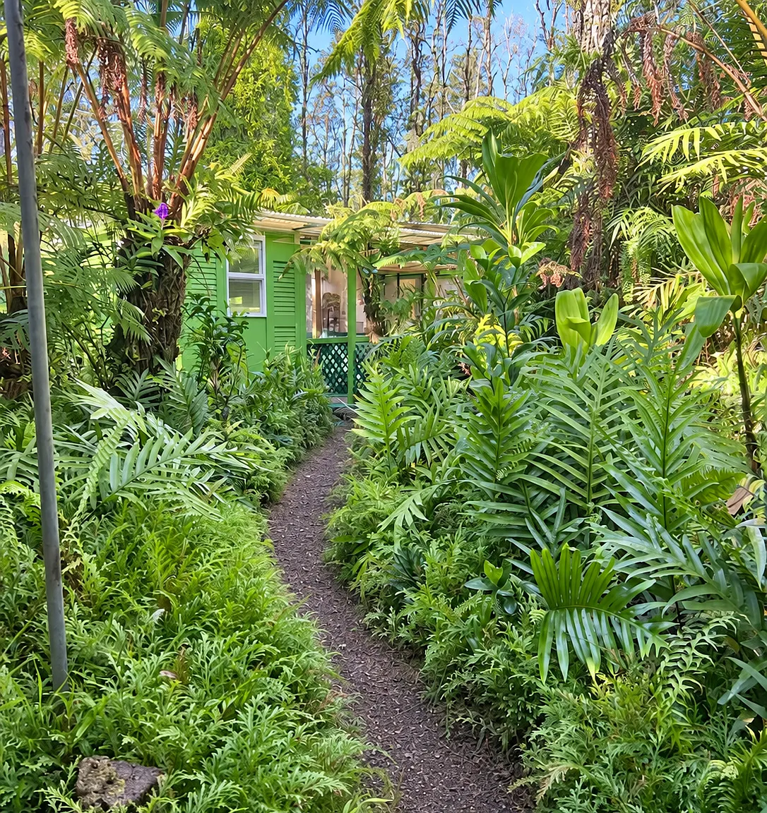 2149 Bamboo Drive RR3, Pahoa — Photo 2