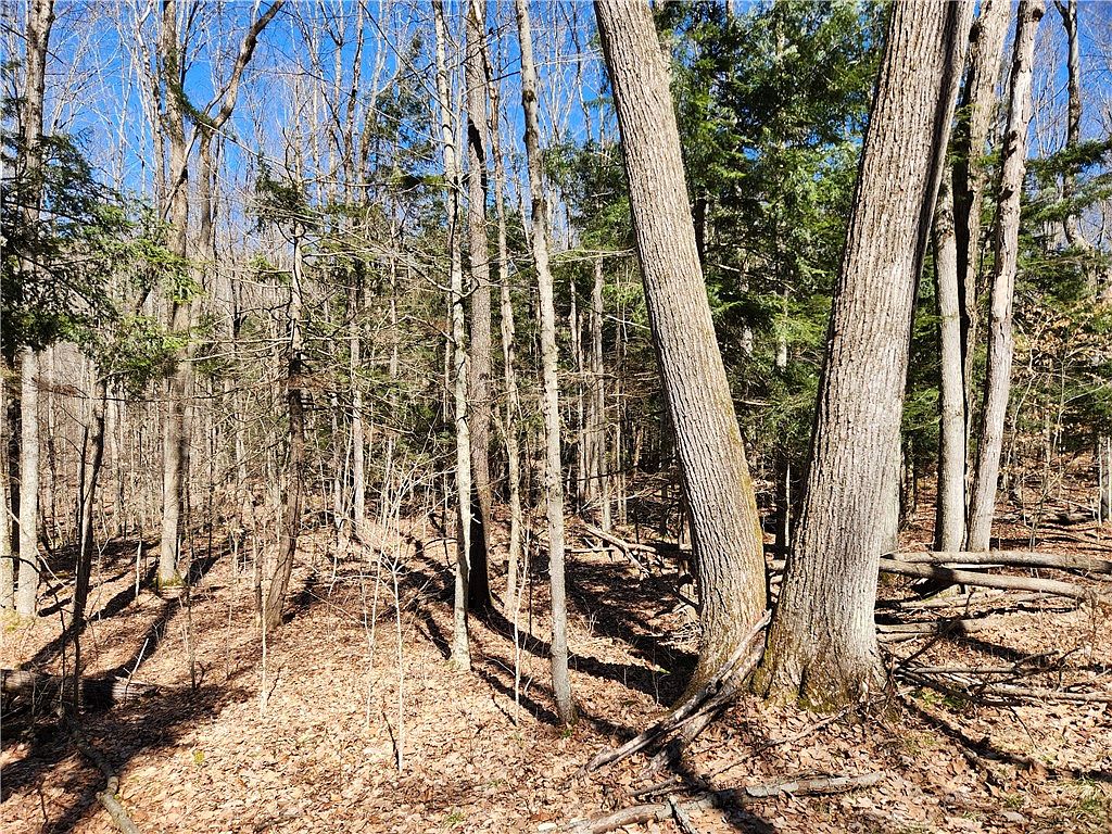 0 Harrison Rd, Beaver Dams, NY 14812 Zillow