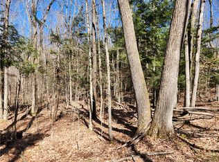 0 Harrison Rd, Beaver Dams, NY 14812