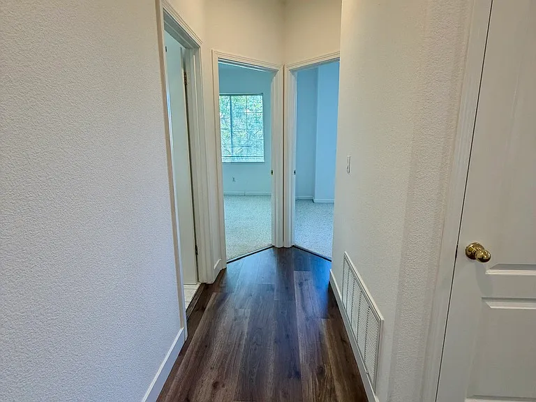 175 Images Cir — Photo 18