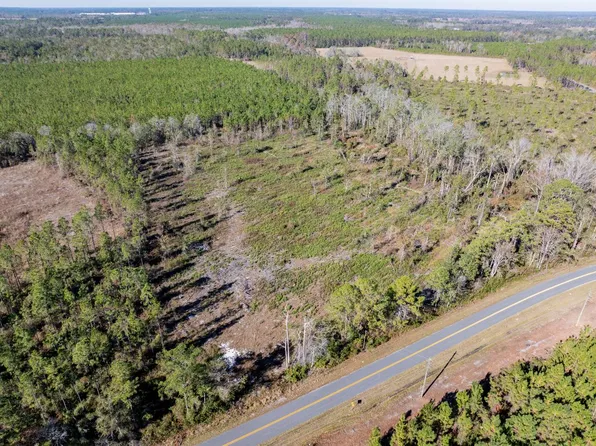 Tbd Cr 137, Wellborn, FL 32094
