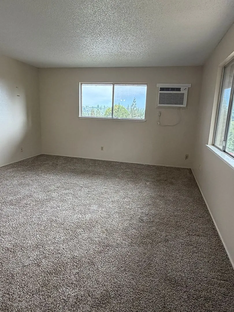 Park Oaks Apartments — Photo 3
