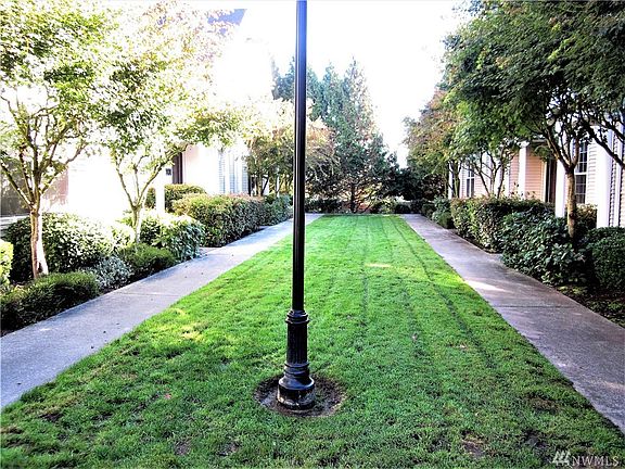 Large grass area outside of the front door.