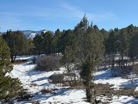 3rd image of Pine Dr #38