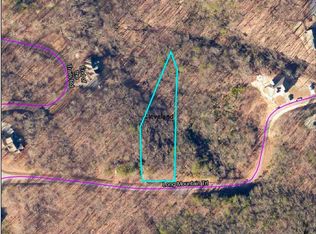 23 Long Mountain Trl, Cleveland, GA 30528