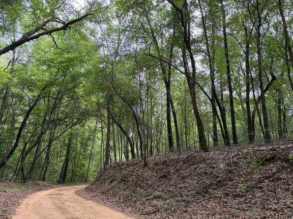 Smokey Ridge Rd, Fosters, AL 35463