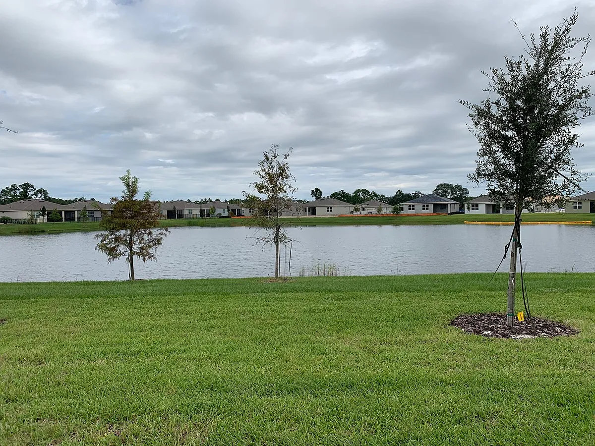Building Photo - 17841 Blazing Star Cir