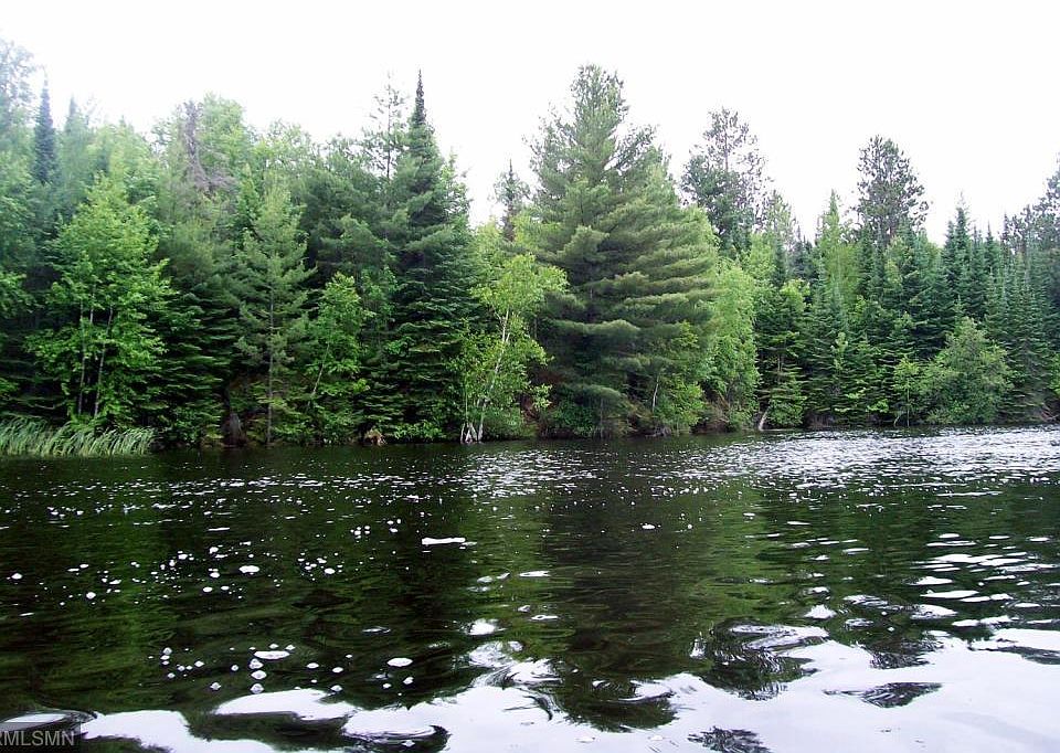 1st image of LOT 1 Ash River Trl