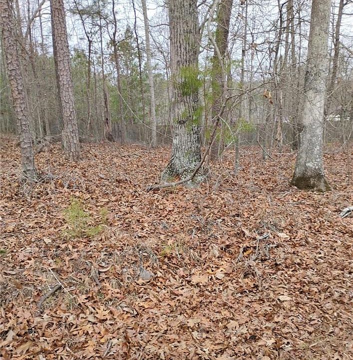 2nd image of 0 Willie West Rd #21