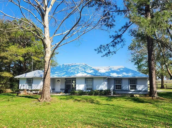 8585 NW 162nd Ct, Morriston, FL 32668