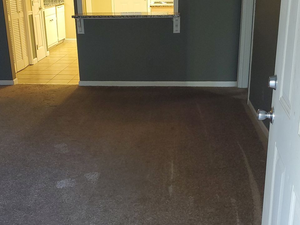 Front Entrance into Livingroom.