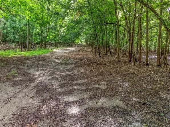  SW 17th St, Bell, FL 32619