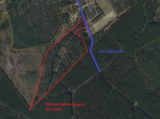 TBD Cain Wilson Rd., Conway, SC 29526