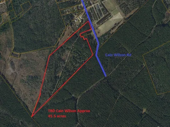 TBD Cain Wilson Rd., Conway, SC 29526
