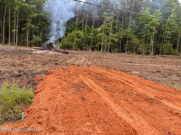715 Old Pinola Braxton Rd, Braxton, MS 39044