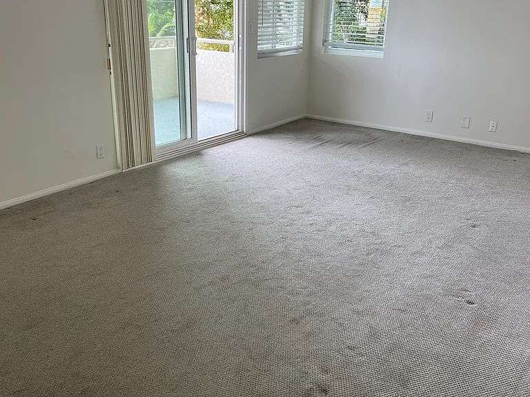 325 Liverpool Dr — Photo 11