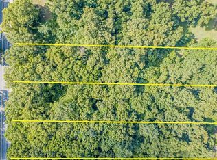 Schopke Lester Rd, Apopka, FL 32712