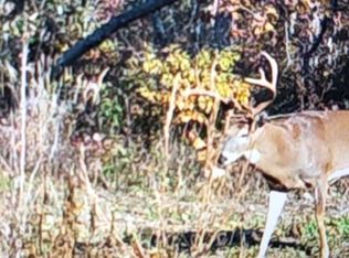 7 Bucks Crossing Ln, Richwoods, MO
