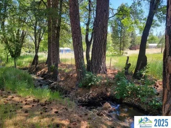0 Dirt Pine Rd, Janesville, CA 96114