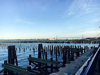 Rented by Platinum Properties