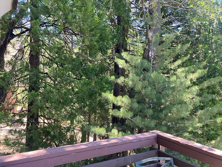 676 Grass Valley Rd — Photo 11
