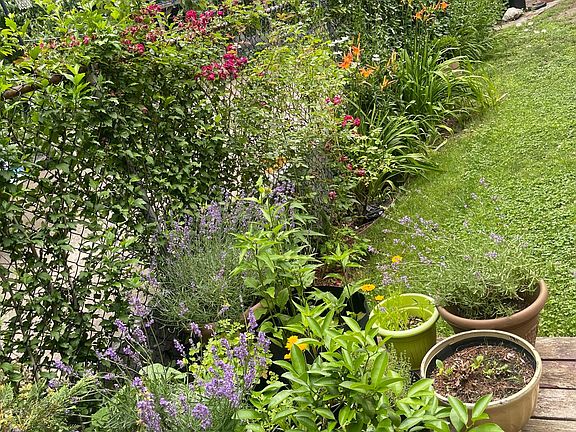 Beautiful garden