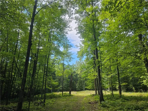 Lot 7 Ken Can Lane, Webster, WI 54893