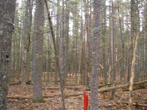 5th image of Nor Sable Pines Trail Lovells