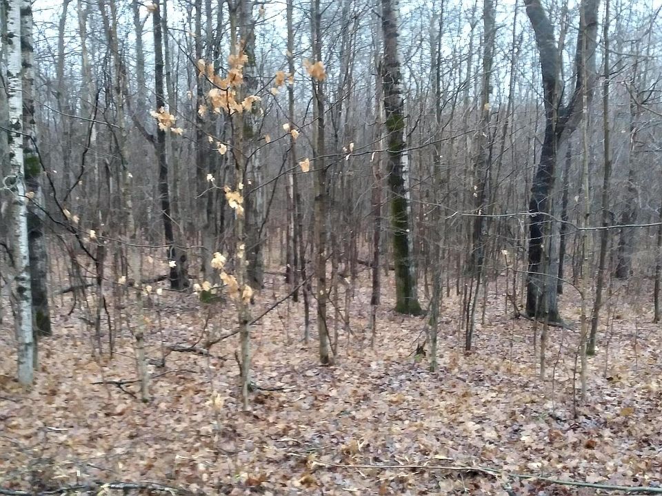 1st image of Sprucedale Cir
