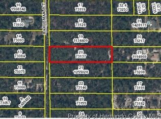16424 Hardeman Jct, Weeki Wachee, FL 34614