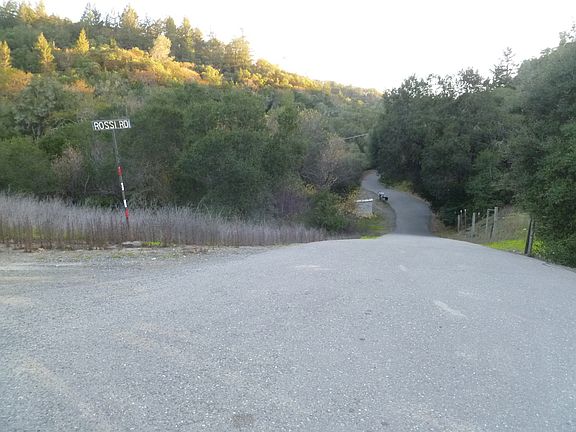 Nicely Wooded Surroundings