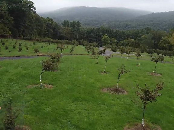 3rd image of 151 Prospect Hill Road