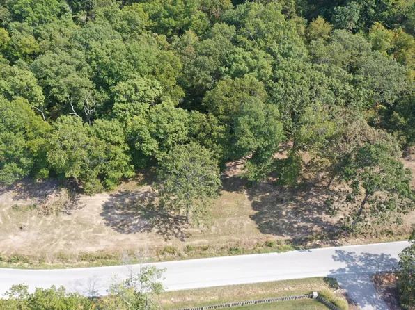 000 Black Oak Resort Lane, Lampe, MO 65681