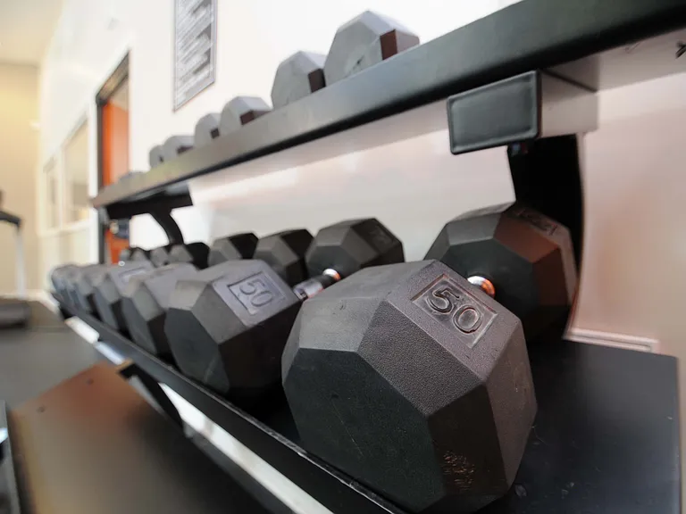 Free-weights in the Fitness Center