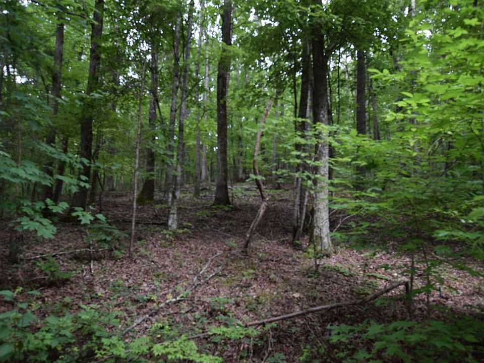 1st image of 770 Vance Winstead Ln