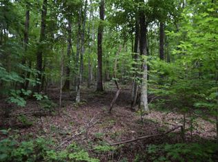 770 Vance Winstead Ln, Spring City, TN 37381