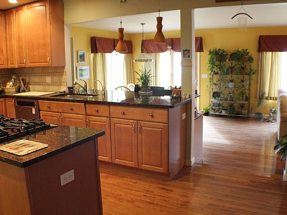 Kitchen to great room