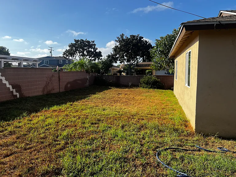 Backyard